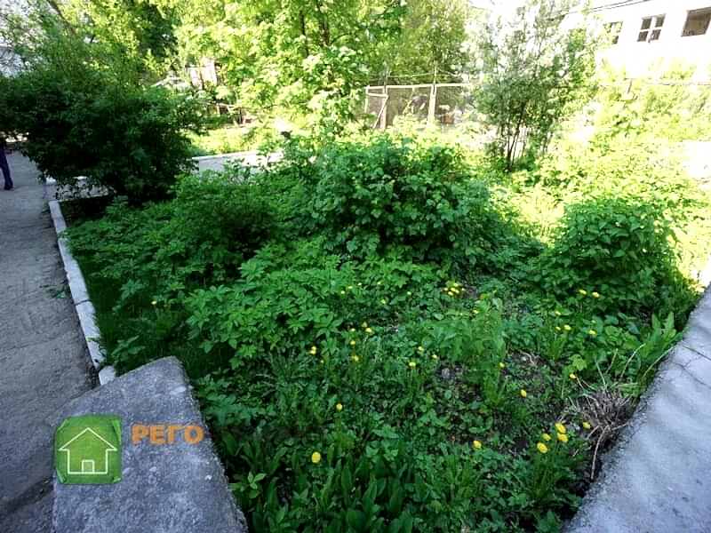 Ландшафтный дизайн