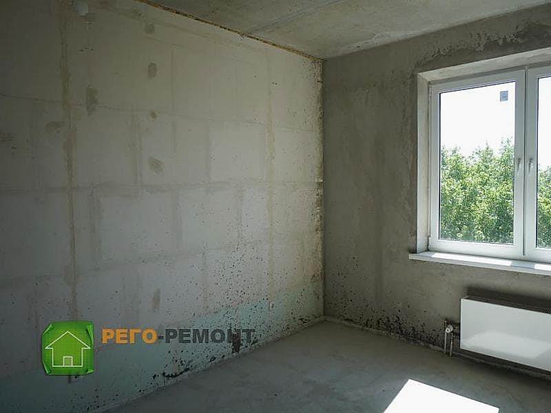 Советы по ремонту в Алматые на дону и области | Лучшая цена ✔ РЕГО-РЕМОНТ-61 | . Картинка 10